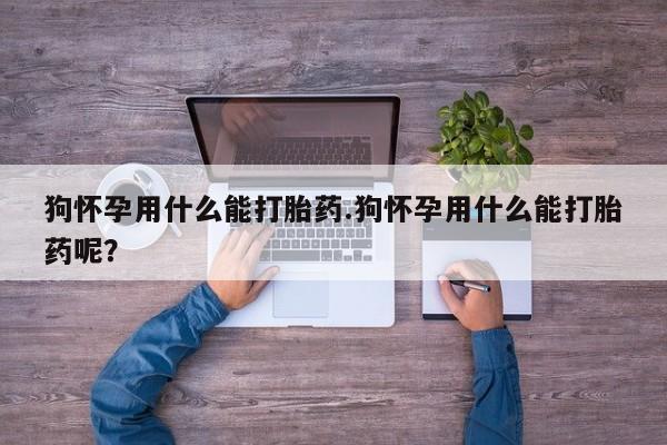 流产药在线购买狗怀孕用什么能打胎药.狗怀孕用什么能打胎药呢？