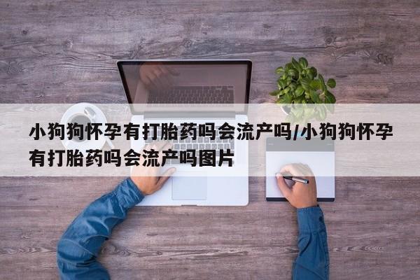 流产药在线购买小狗狗怀孕有打胎药吗会流产吗/小狗狗怀孕有打胎药吗会流产吗图片